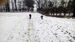 IMG_20150101_140105_1.jpg
