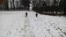 IMG_20150101_140105.jpg